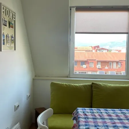 Wolf's Flat Apartment *